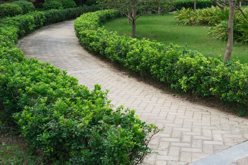 Paved Walkway Installation